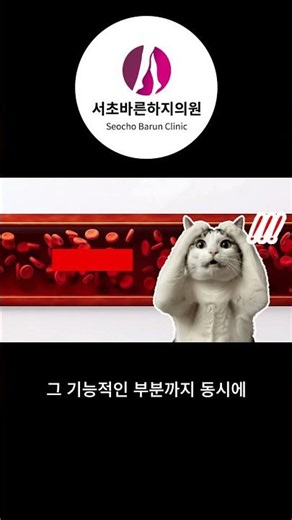 한 번의 검사로 구조 + 기능까지 싹! 혈관 초음파의 힘 #혈관초음파검사