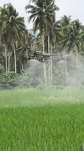 8.7K views · 188 reactions | Programa sa DA. Libreng drone spraying. | AgriErn | Facebook