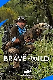 Watch Coyote Peterson: Brave the Wild Season 1 Episode 110 - Coyote's Journal: Tracking Down A Massive Perentie