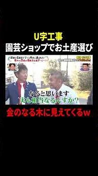 U字工事 園芸ショップでお土産選び 金のなる木に見えてくるｗ｜#かりそめ天国 #TVer で最新話配信中！