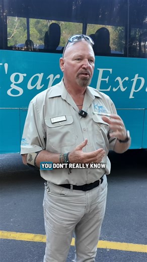 No 4WD? No worries. Our inclusive K’gari (Fraser Island) tours cover the lot. Transport, breakfast and lunch, expert guides, and every must-see on the island. Just bring your sense of adventure.🍹 Book now from $804. | K'gari Explorer Tours