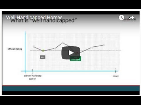 Well Handicapped Horses