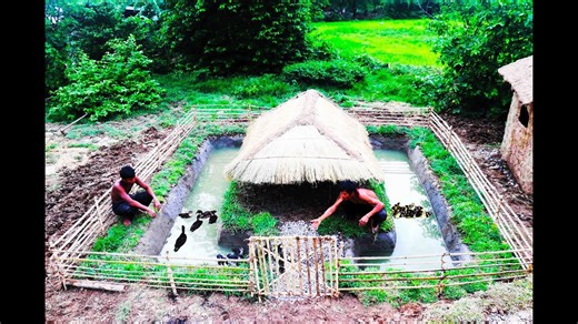 Building a Duck House and Swimming Pools for Ducks!