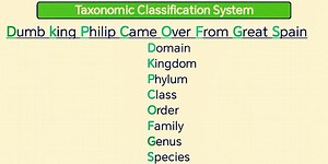 Taxonomic Classification System #fblifestyle | Franklin - Online LET, CSE, IELTS & Celpip Private Tutorial