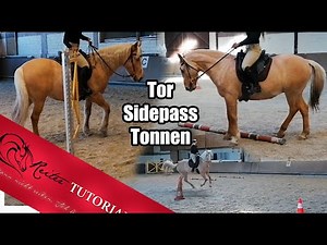 Tor, Sidepass, 3er Tonnen: Working Equitation Trainingseinblicke Kommentiert // Reitertutorials