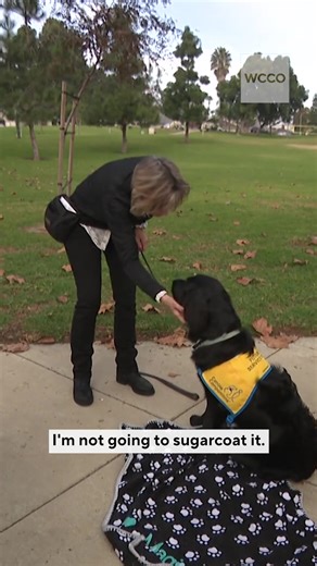 Dogs aren’t just man’s best friend — for thousands of Americans, they’re a lifeline. Service dogs can open doors, take off shoes and socks, and warn of medical emergencies. The specially trained dogs are paired with their lifetime partners free of charge. Programs like Can Do Canines are always looking for volunteers and donations. You can find more information at the link in bio. | WCCO & CBS News Minnesota