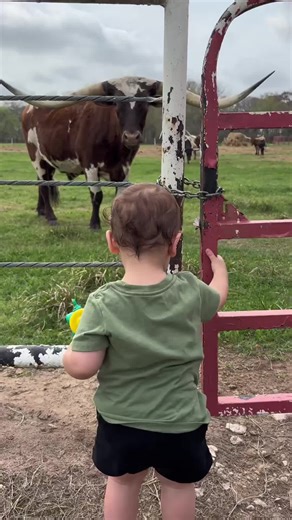 Looks like we hired a new ranch hand today 🤠 As y’all know, Circle of Seven Ranch is a family-run business… and our newest team member is already getting to work. He may be under 2, but the dedication is there 🐂✨ #HoustonWeddings #SugarLandWeddings #KatyWeddings #RosenbergWeddings #RichmondTXWeddings #WhartonCountyWeddings #ElCampoWeddings #TexasWeddingVenue #HoustonWeddingVenue #TexasWeddingVenue