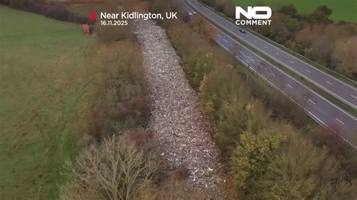 Hundreds of tons of waste dumped in southern England spark ‘ecological disaster’ warning