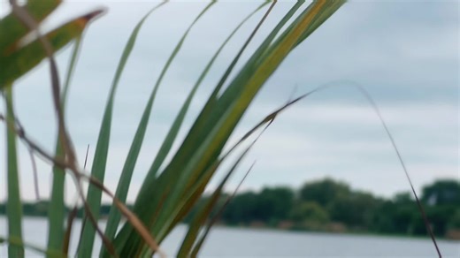 COMING SOON!🔥Models//@jihan jaamil💎 @MICRAY OF UNILORIN💜💜💜 @Ayo_Of_Unilorin💀📸✍️ @midie🙃 @Real David @abdulazeezramadan1 Shot//@ayomix1 #fypシ゚ #fashiontiktok #fashion #creatorsearchinsights #models #comingsoon #aesthetic