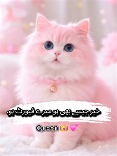 Hilarious TikTok Moments That Will Make You Laugh!