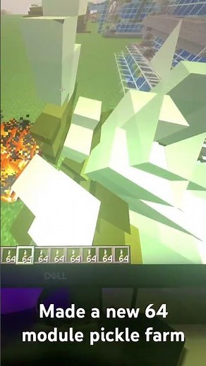 64 module pickle farm