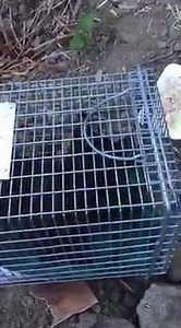 1K views · 39 reactions | Today was an emotional roller coaster. Last...