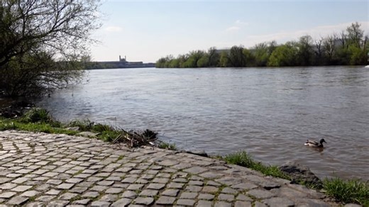 River, Cargo Ship, Ship. Free Stock Video