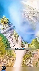 1.2K reactions · 18 shares | Why Professional Loggers Cut Trees from the Top, Not the Base  #LoggingSafety #TreeRemoval #ArboristLife #WorkAtHeight | INdra Asm | Facebook