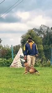 #teamwork #dedication #DogBreeds #kenya #dogsoftheday | Baxton DOG Training Academy