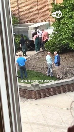 Cow on loose at U of I captured
