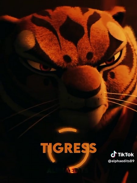 Tailung vs Tigress: Kung Fu Panda Showdown