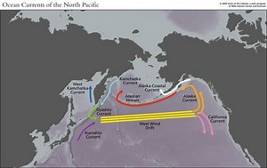 North Pacific Current - Alchetron, The Free Social Encyclopedia