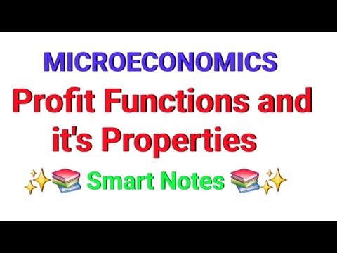 Profit Functions and it's Properties || MICROECONOMICS || Notes 📝