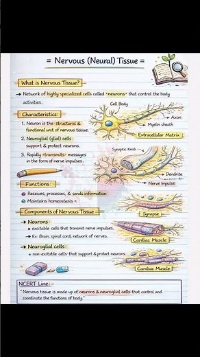 #science #class_10 #Nervous_tissues