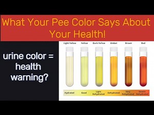 What Your Urine Color Says About Your Health -- Urine Color Explained: From Clear to Dark Red