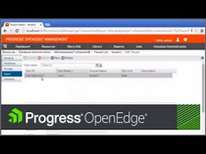 Creating tenants, domains, and users in a Progress OpenEdge multi tenant database