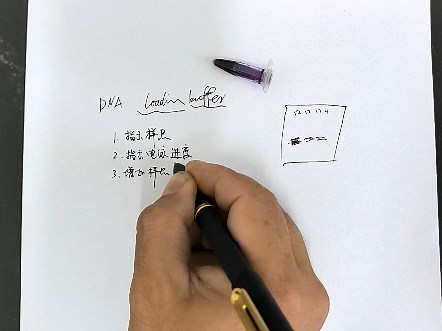 Loading buffer（上样缓冲液） 的作用与成分