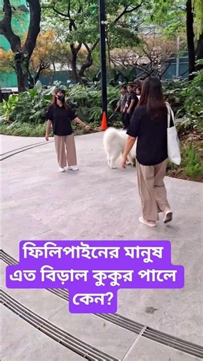 Filipinos' cat and dog races are mandatory #philippines #cat #dog #vlog