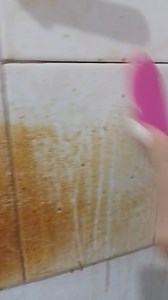 Después de varios intentos lo logramos con Merclin SA. Mira los resultados! #pyfツ #limpezasatisfatoria #limpiezaprofesional #virals #cleaneating #limpeza #viral #pyf #cleaningservice #clean #limpieza #limpiezaprofunda | Super Limpio