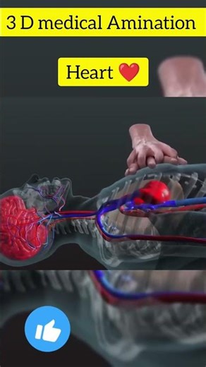 Human Heart 3D Animation 🔥 पूरा सिस्टम समझो 30 सेकंड में!