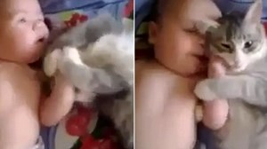 Adorable moment baby and a fluffy cat snuggle on a bed
