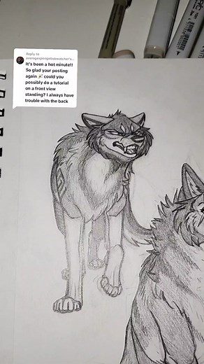 Replying to @averagespongebobwatcher Here's that front facing tutorial! Lmk what you guys want me to do next! #artist #drawing #storiesanimated #wolfart #art #wolves