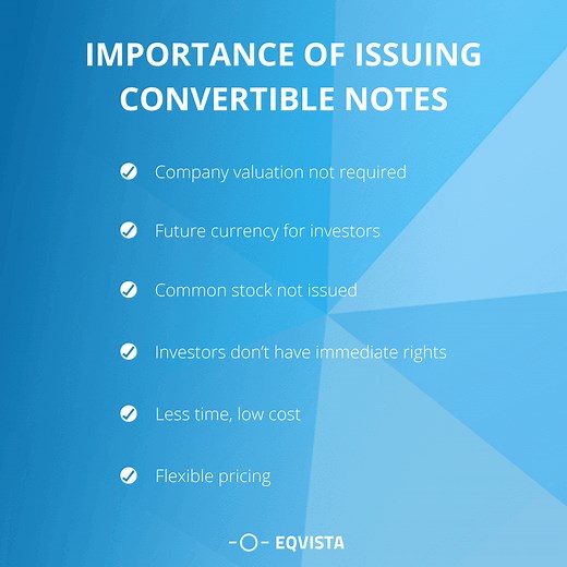 Convertible Note Term Sheet | Eqvista