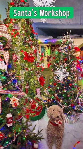 Santa's Workshop 🎄🎅🏼🧸