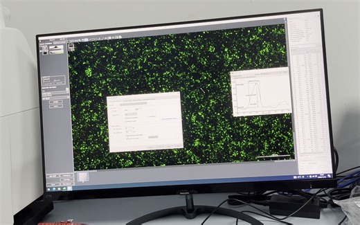 BioTek CYTATION5细胞成像培训3