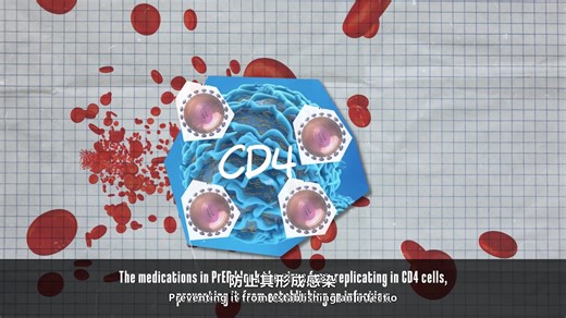 口服 PrEP 是如何起作用的？