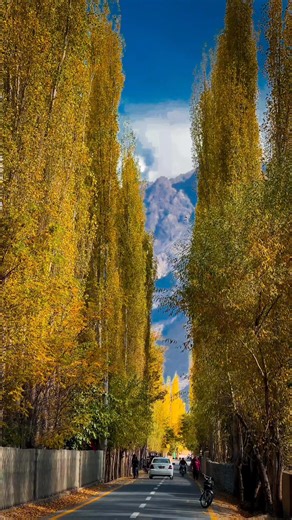 Explore Northern Pakistan! 🌄 Skardu | Hunza | Fairy Meadows | Naran | Astore 👉 WhatsApp link in bio #ExplorePakistan #NorthernPakistanTrekAndTours #BeautifulPakistan | Northern Pakistan Trek & Tour