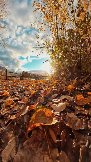 Nature❤ | London UK times