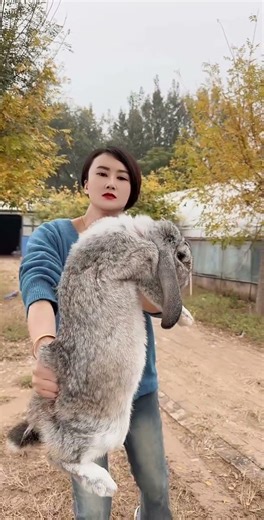 我小的时候，总以为有理走遍天下，无理寸步难行，现在才知道，这个世界讲金💰，讲关系，讲利益，就是不讲道理。