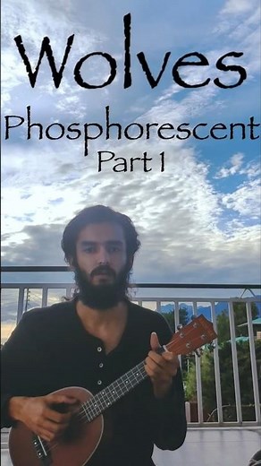 Wolves (Part 1) - Phosphorescent Ukulele Cover