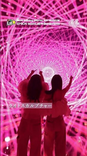 A Magical World 💫 Visit teamLab Borderless This Summer!
