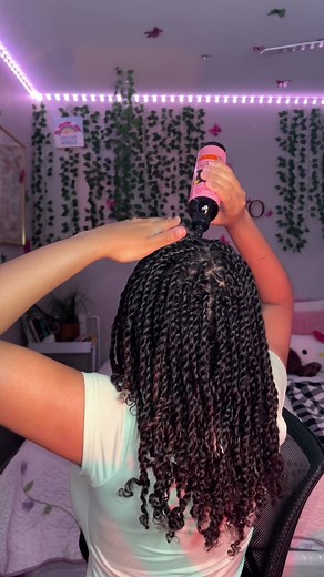 Mini Twist Natural Hair Styles for Shorter Twists