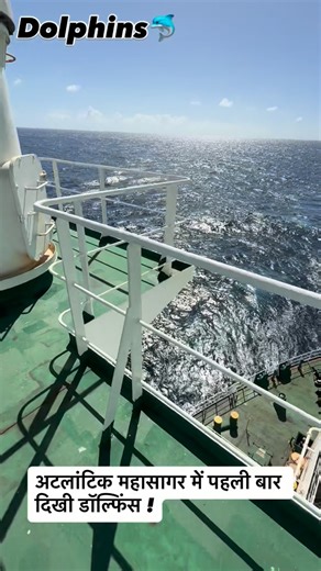 Vicky Thakur on Instagram: "Dolphin in Atlantic Ocean #ocean #ship #sea #sealife 🛳️"