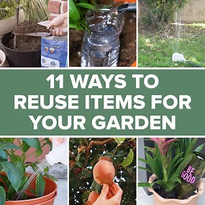 4.1K views · 67 reactions | Here are 11 ways to reuse household items for your garden! ? ✨ | Tasty | Facebook