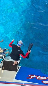 A magical snorkeling adventure off the coast of Kona, Hawaii! Learn more about it with the 🔗 in our bio. | Fair Wind Cruises