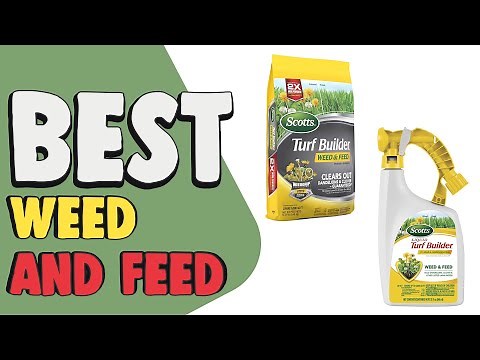 Best Weed and Feed in 2021 – Complete Guide to Make Your Lawn Perfect!