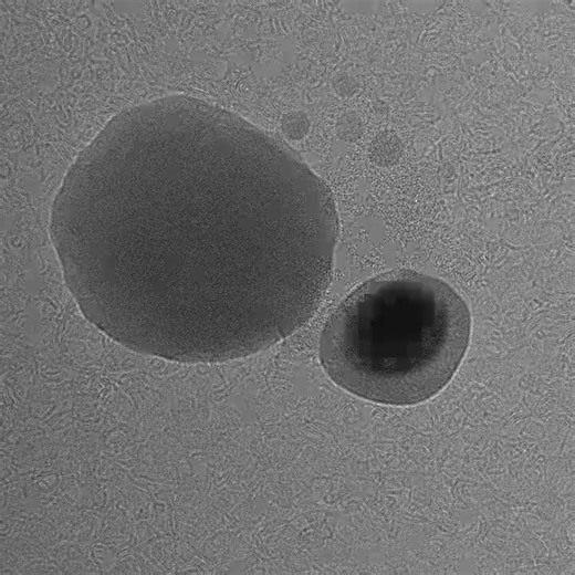 Nanoparticles at High Temperatures in Transmission Electron Microscope