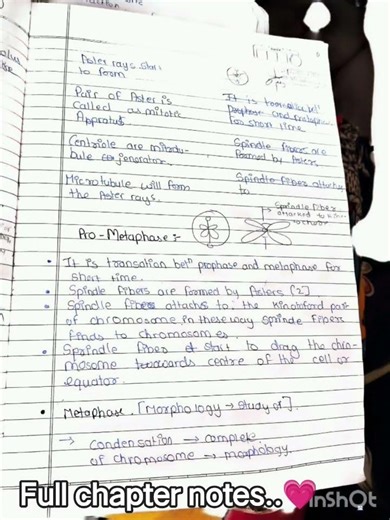 Cell cycle and cell division notes full chapter💗