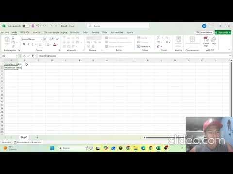 video tutorial de como insertar y modificar datos en excel