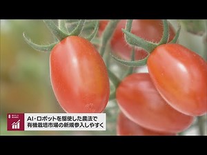 ロボットがトマトを有機栽培 赤い実を認識して収穫・光で害虫を吸引…AI駆使の"SDGs農業"